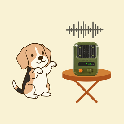 Barkly Emits Gentle Ultrasonic Sound